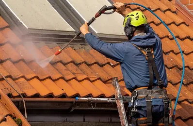 Démoussage et hydrofuge de toiture à Aizelles